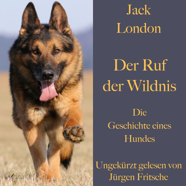 Jack London: Der Ruf der Wildnis. Die Geschichte eines Hundes - Ein Abenteuerroman