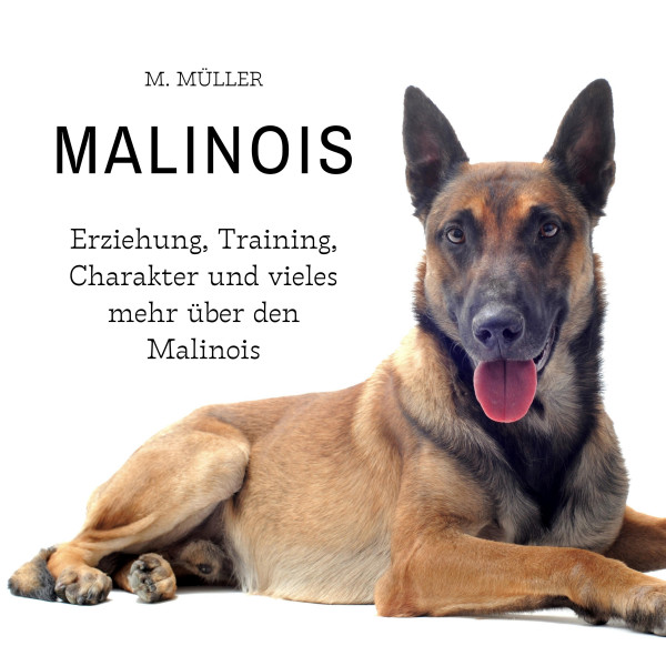 Malinois - Erziehung, Training, Charakter und vieles mehr über den Malinois