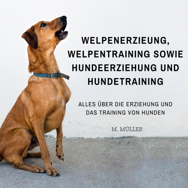 Welpenerzieung, Welpentraining sowie Hundeerziehung und Hundetraining - Alles über die Erziehung und das Training von Hunden