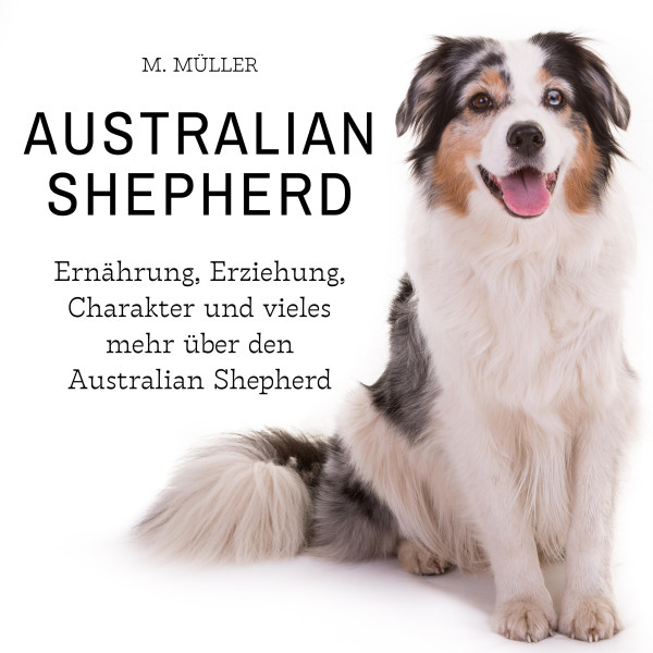 Australian Shepherd - Ernährung, Erziehung, Charakter und vieles mehr über den Australian Shepherd