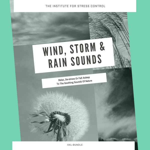 Wind, Storm & Rain Sounds for Deep Sleep, Meditation, Relaxation - Relax, De-stress Or Fall Asleep To The Soothing Sounds Of Nature